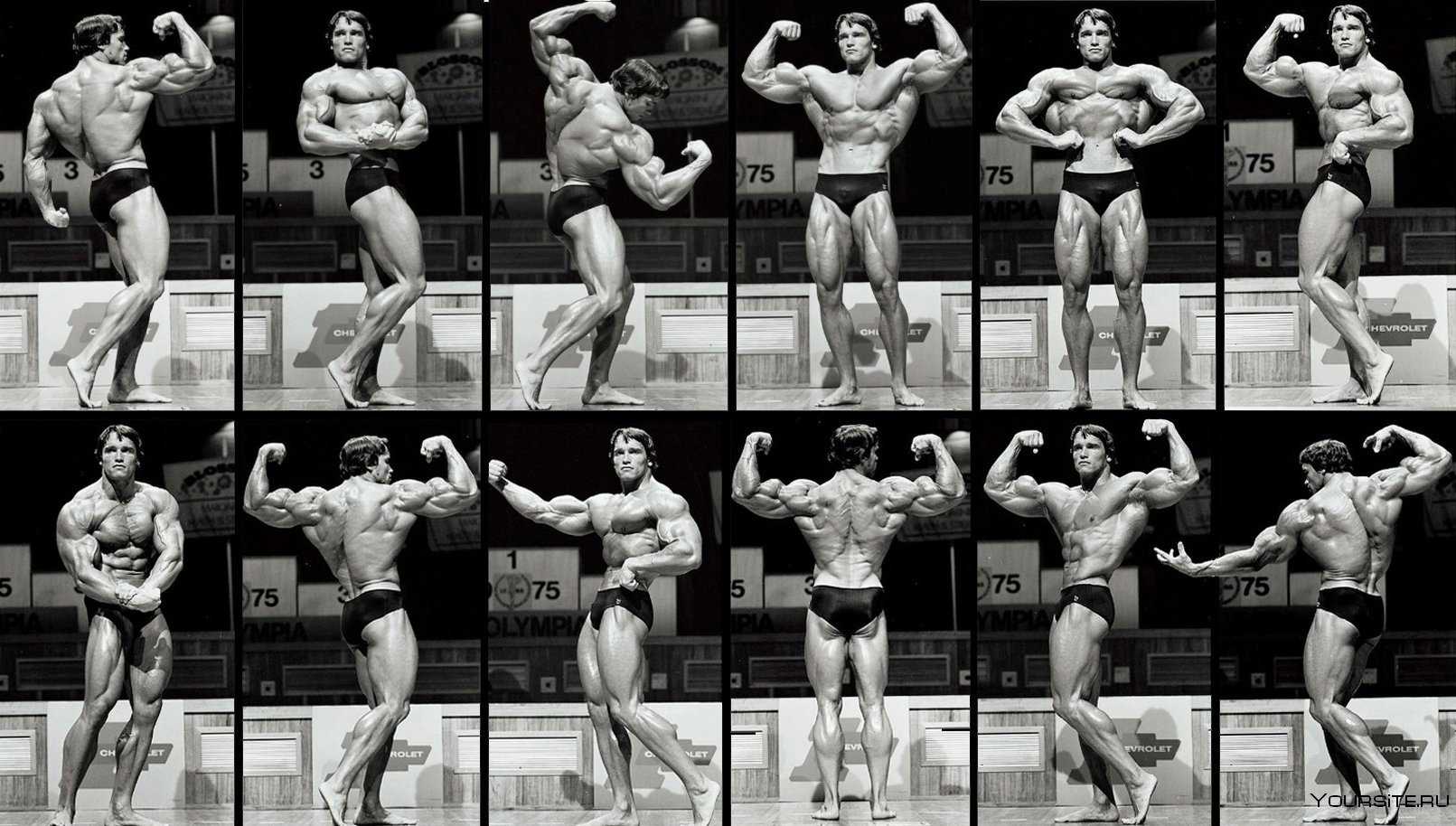 Arnold schwarzenegger's back workout routine