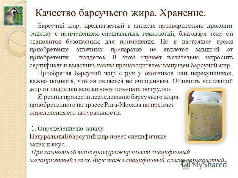 Барсучий жир: лечебные свойства и противопоказания, применение, и от чего он помогает