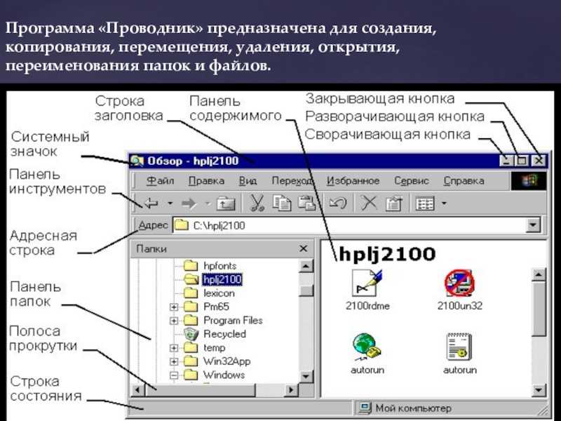 Стиль жизни и главные бьюти-правила камерон диаз