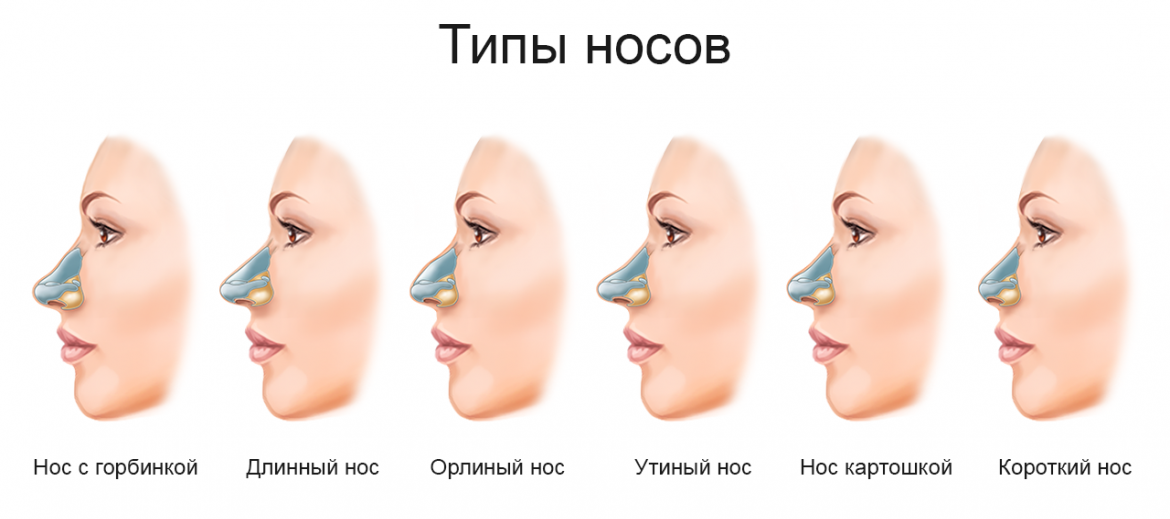 Интервью с пластическим хирургом  | stena.ee