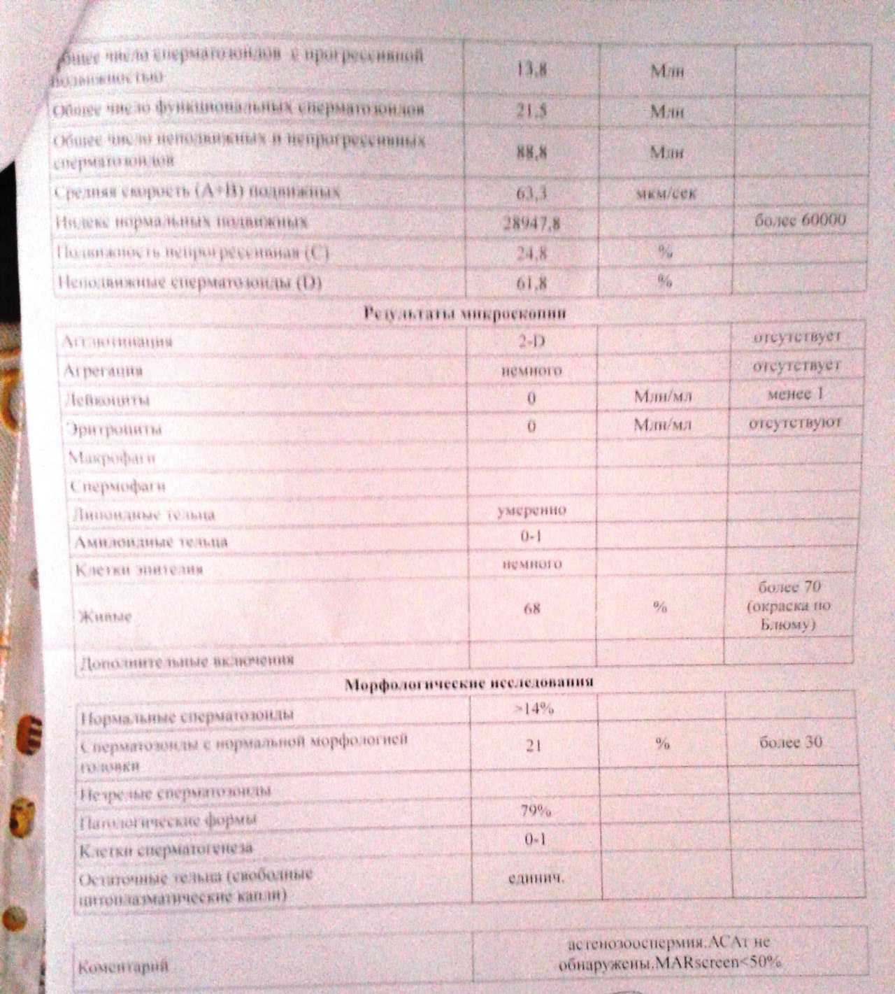 Можно ли глотать сперму?