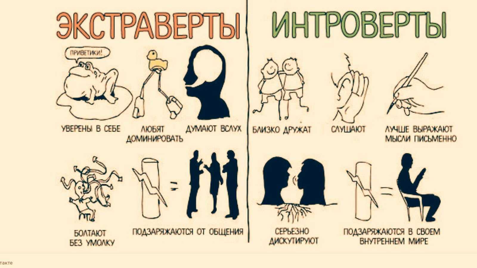 Интроверты и экстраверты: совместимость в отношениях