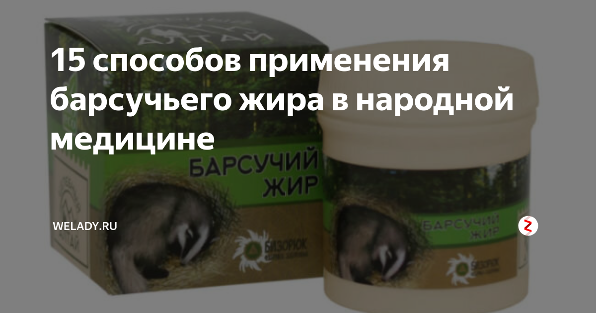 Барсучий жир – лечебные свойства и противопоказания, рецепты использования