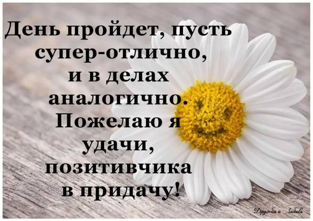 О, напиток несравненный! цитаты и афоризмы про кофе