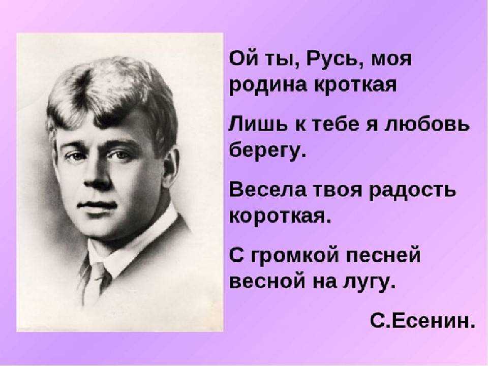 Стив бинг