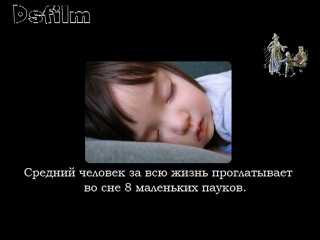 Миф или реальность — факты о том, что люди съедают пауков во сне