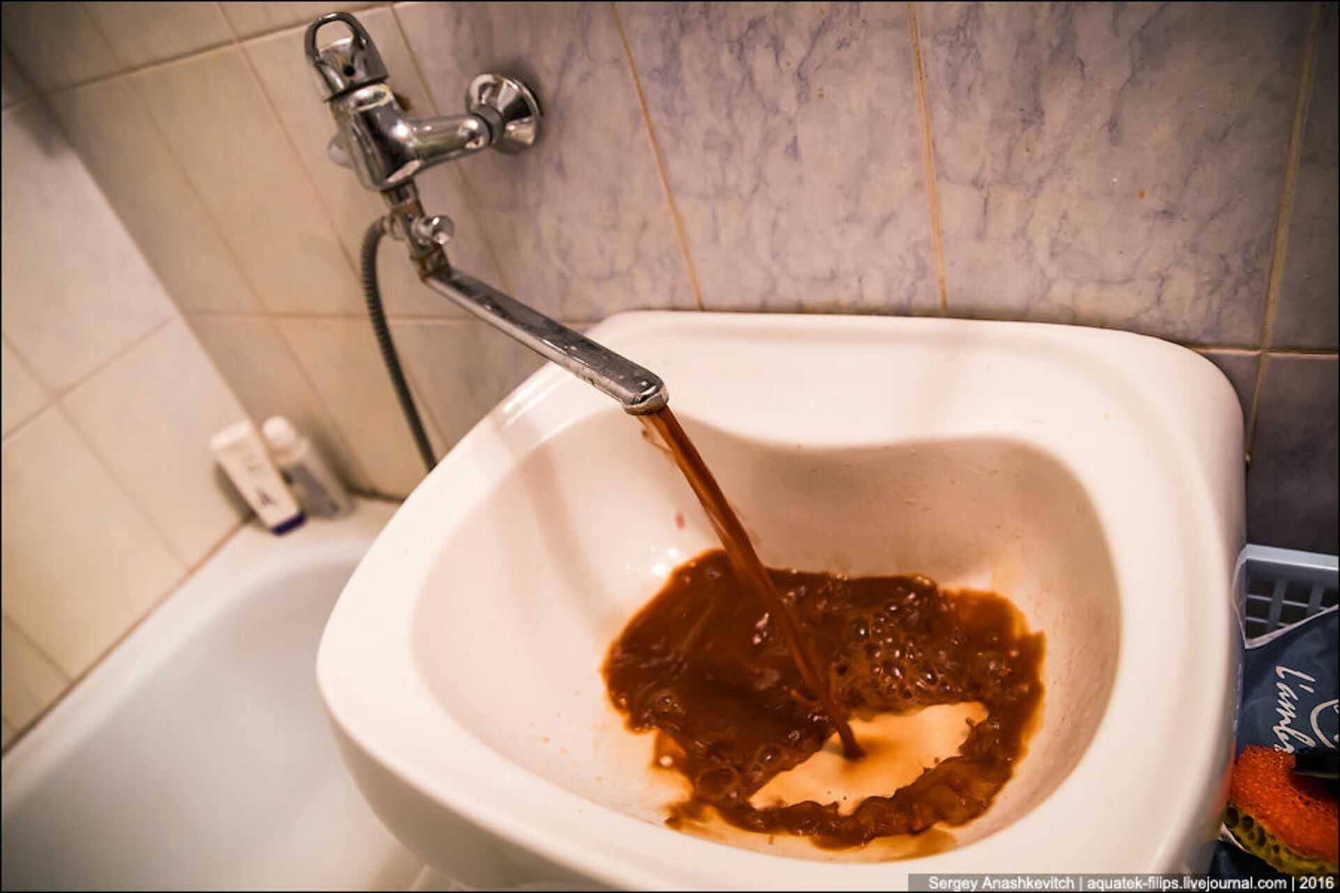 Какой водой мыть волосы натуральным блондинкам или после обесцвечивания