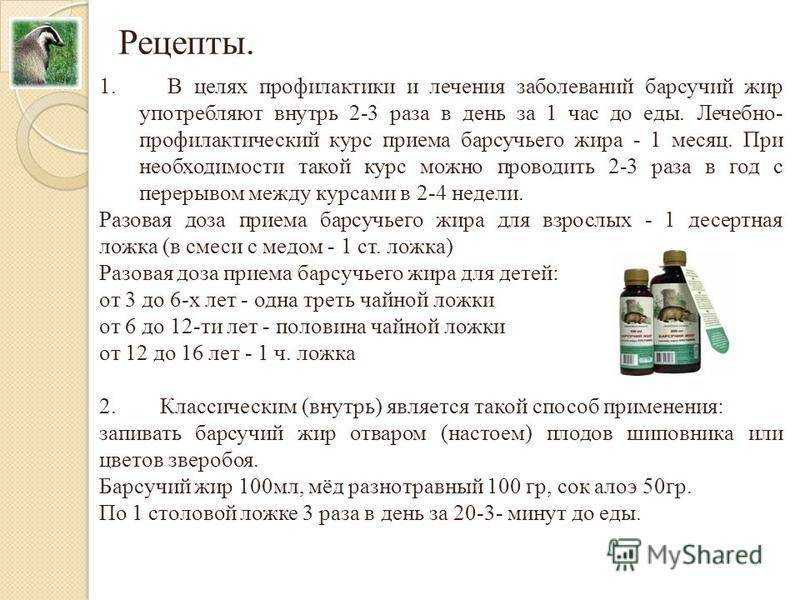 Барсучий жир: лечебные свойства и противопоказания, как использовать для детей и взрослых, отзывы об эффективности