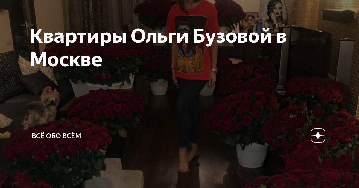 Какой интерьер предпочитает ведущая реалити-шоу Дом-2
