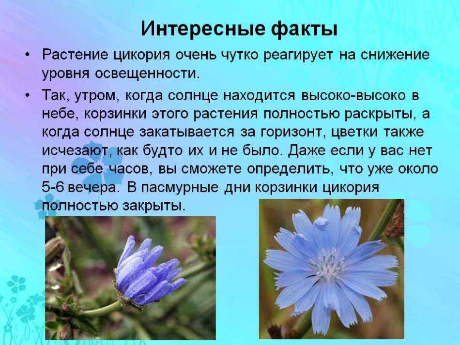 Виды чёрного цвета в печати  :  > dmtrvk