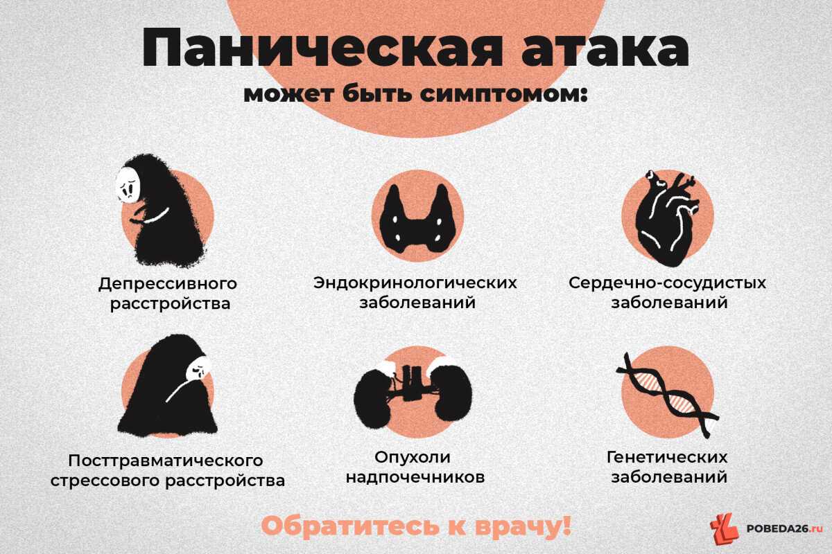 Сумерки | сумерки вики | fandom
