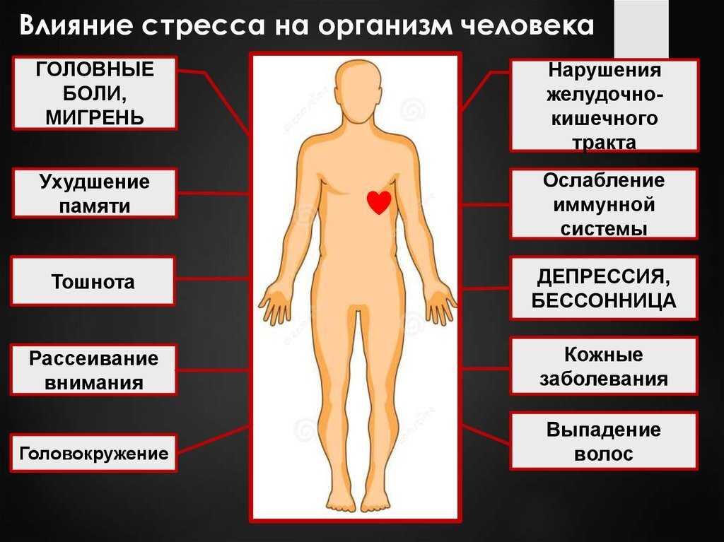 Скандалы в семье. о психологии семьи | психология отношений | ирина гаврилова демпси