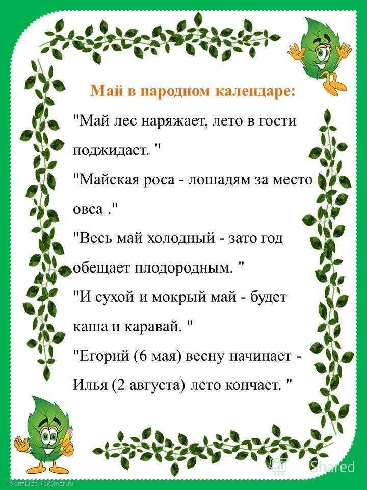 Меньшов, виторган, невзоров – 10 звезд, которые начинали свою жизнь и карьеру в астрахани - астракульт