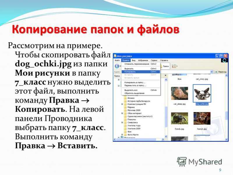 Значение слова «копировать» в 10 онлайн словарях даль, ожегов, ефремова и др. - glosum.ru