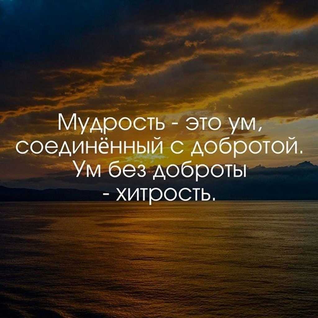 Словарь современного образованного человека кратко