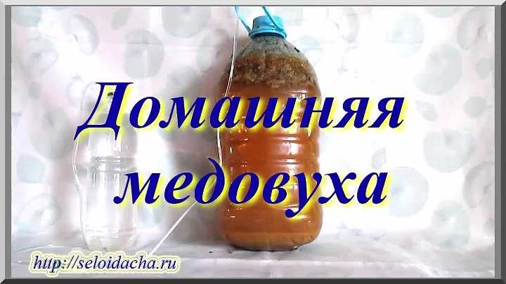 Лучшие рецепты настоек на водке: 10 самых вкусных и быстрых домашних напитков