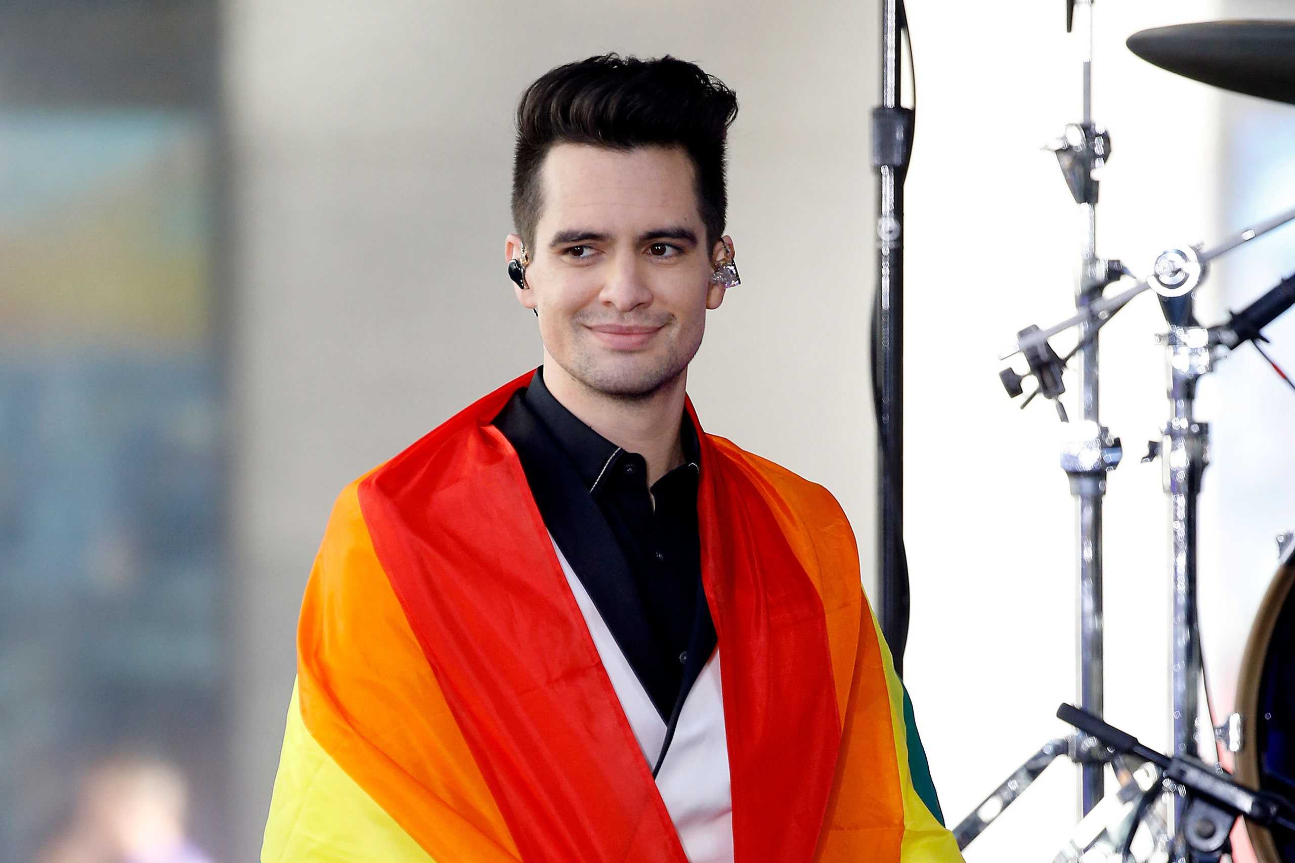 Panic disco facts