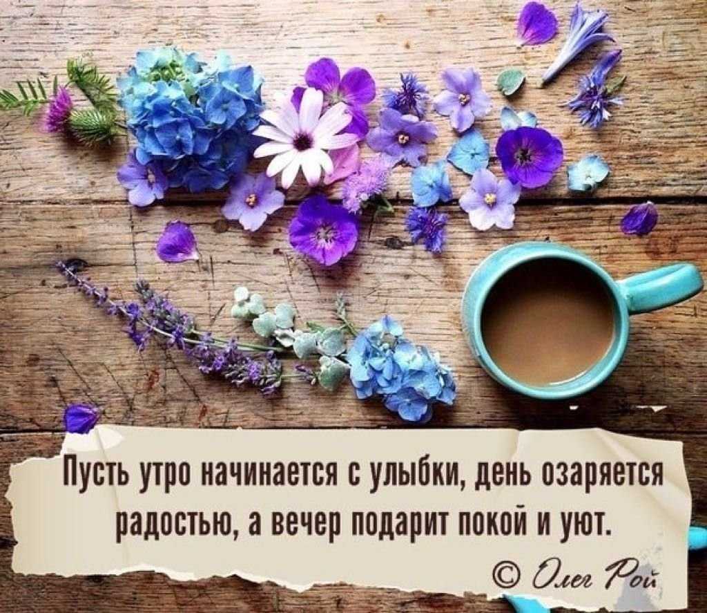 50 бодрящих фраз про кофе – красивые, смешные, прикольные