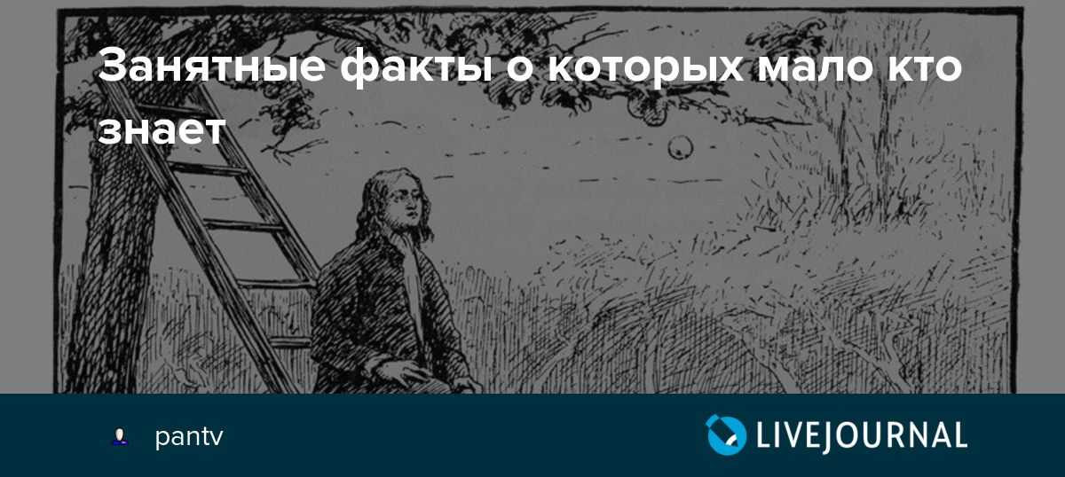 Испанское искусство танца и пения. что такое фламенко?