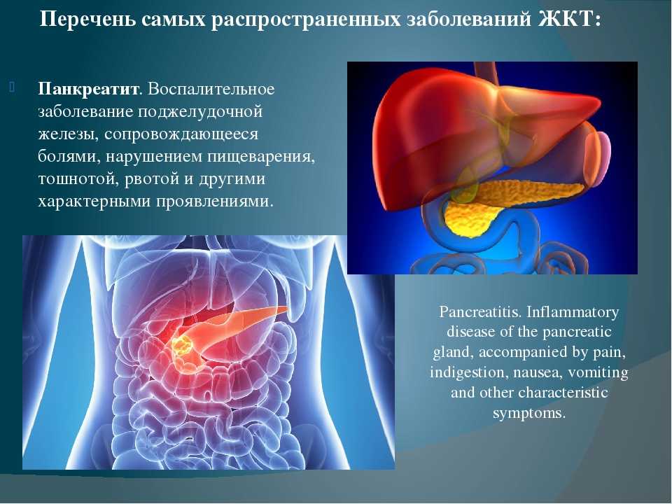 Как вылечить желудок в домашних условиях – эффективные народные методы