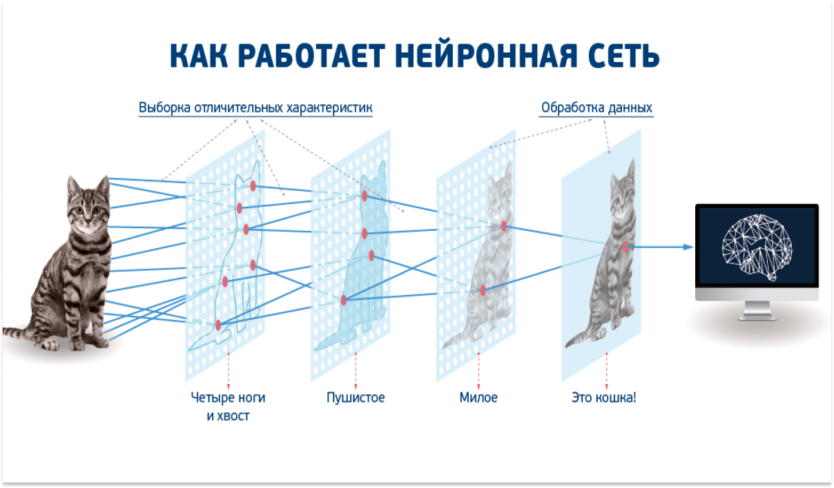 Отследить логику в последних действиях блогера практически невозможно