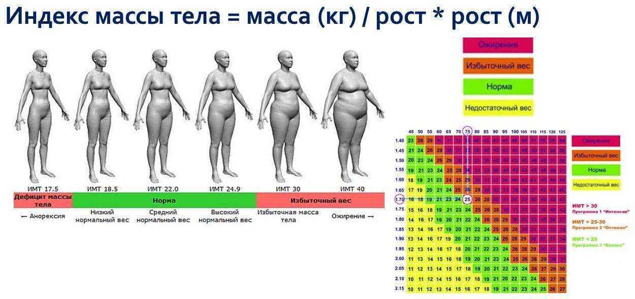 Калькулятор идеального веса для женщин и мужчин - калькулятор онлайн: расчет и конвертация любой сложности