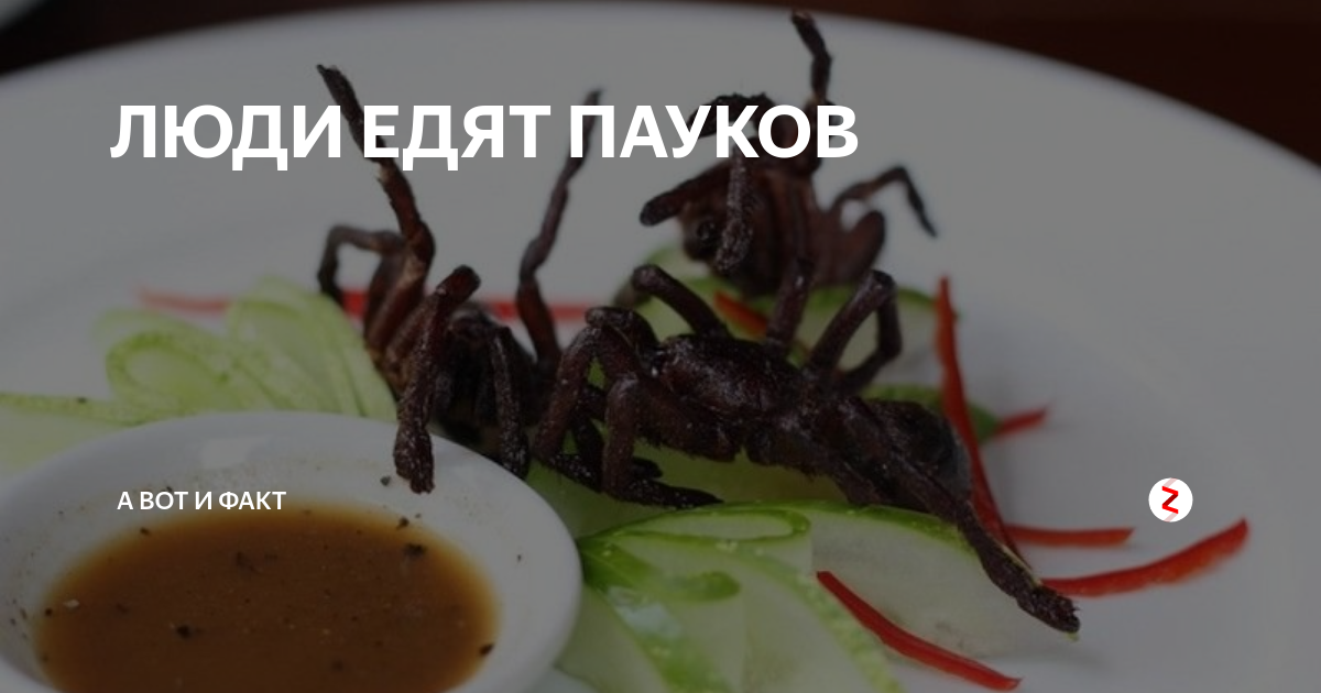 12 мифов об инвестировании: как избежать ложных убеждений и достичь финансового успеха