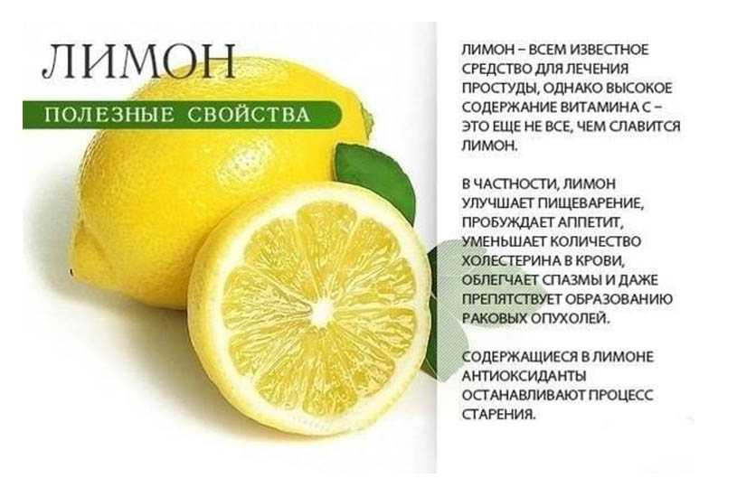 Вода с лимоном для похудения: отзывы, рецепты, советы
вода с лимоном для похудения: отзывы, рецепты, советы