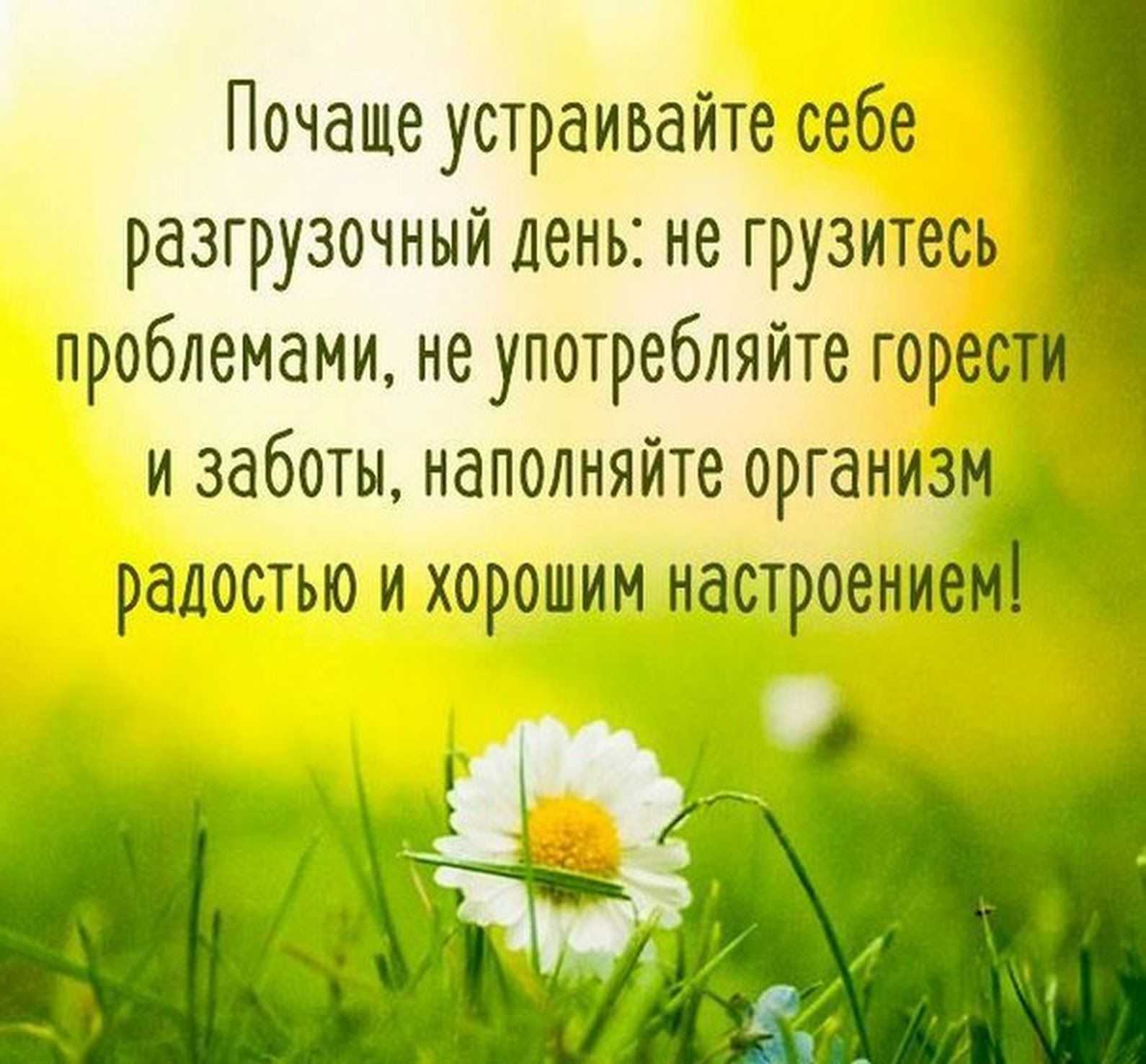 9 секретов звездных причесок от стилистов :: красота :: клео.ру
