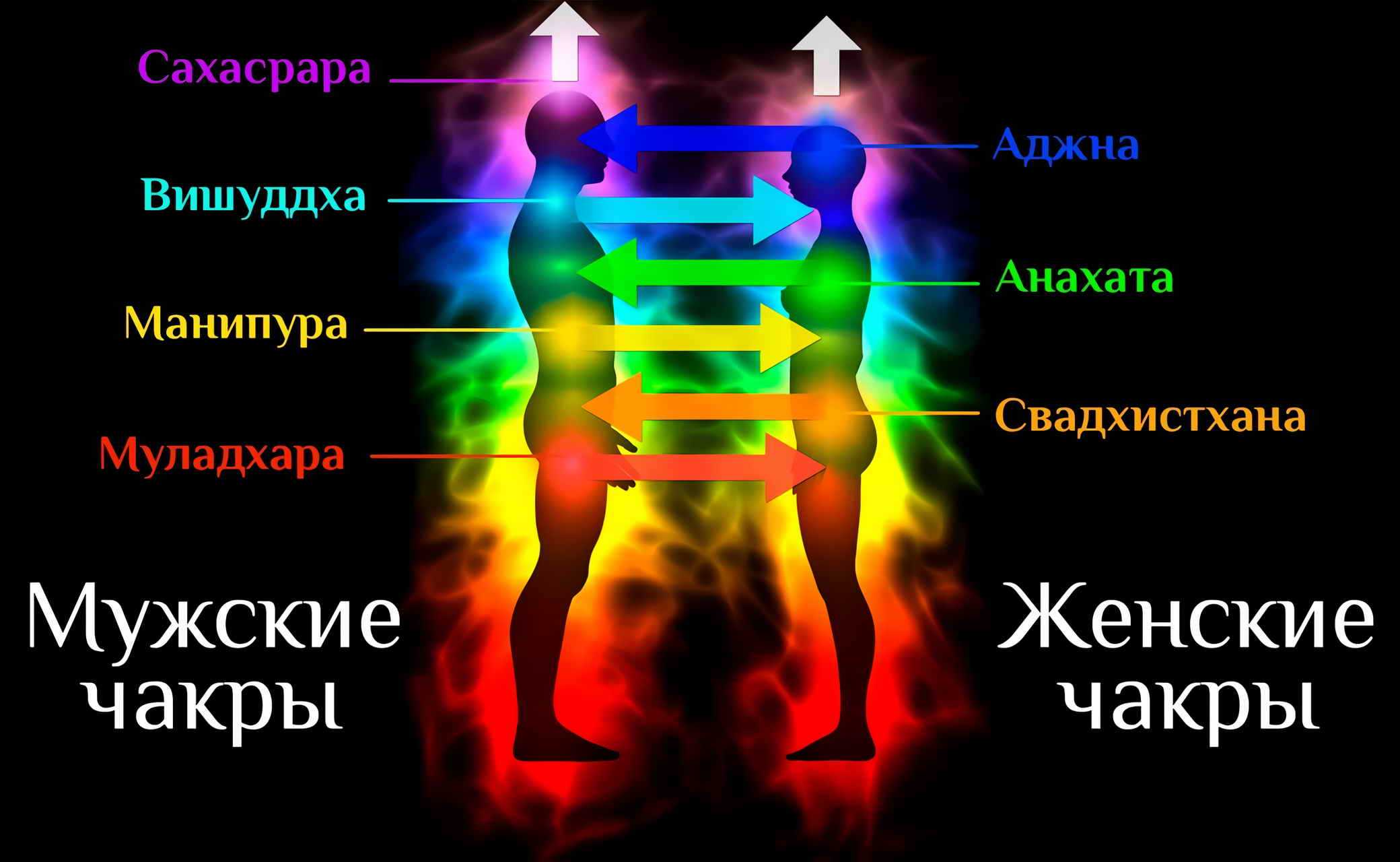 Какие 4 пары зодиака притягивает друг к другу, но судьба не дает шанса жить вместе: новости, знаки зодиака, любовь, отношения, личная жизнь, гороскопы