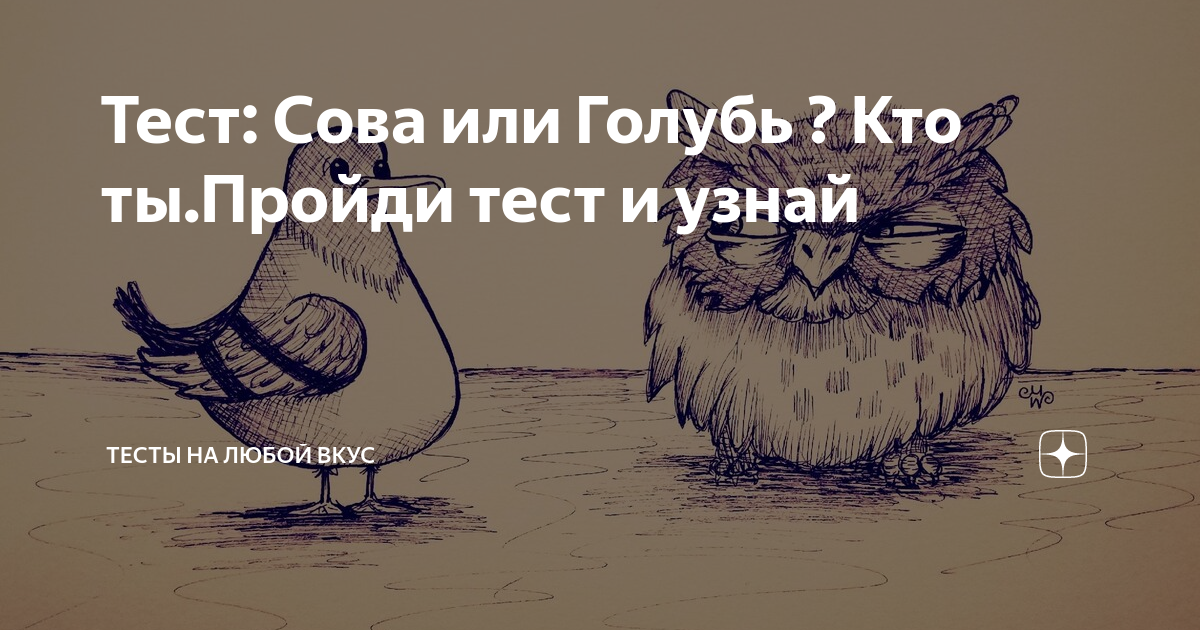 Кто ты ‒ сова, жаворонок, голубь или дельфин: всё о хронотипах и как они влияют на работоспособность