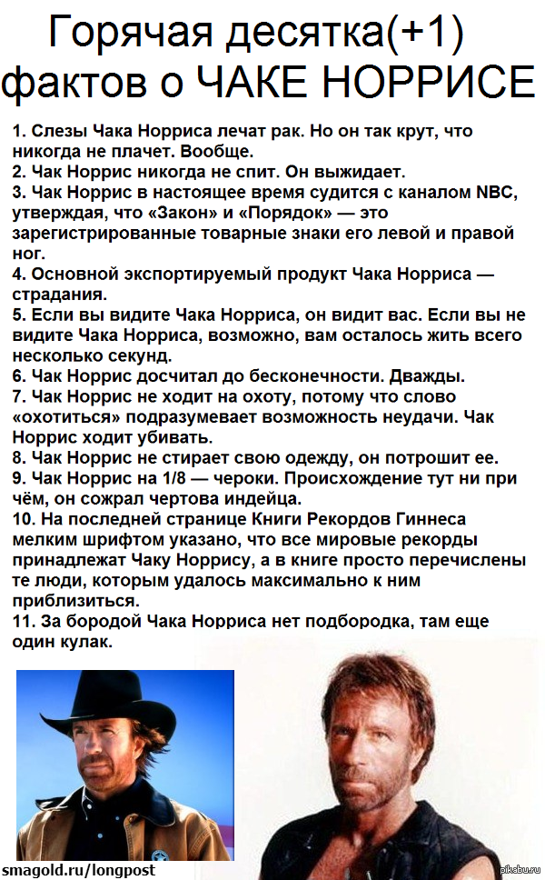8 удивительных фактов о чаке норрисе – zagge.ru