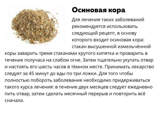 Осина обыкновенная в медицине: свойства, состав, применение при сахарном диабете, простатите, паразитарных инфекциях