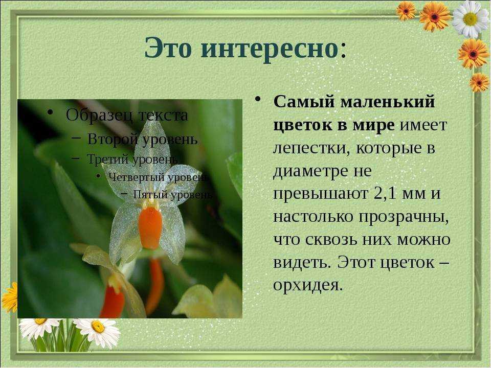 Психология цвета: черный. что он значит в культуре, рекламе и дизайне / skillbox media
