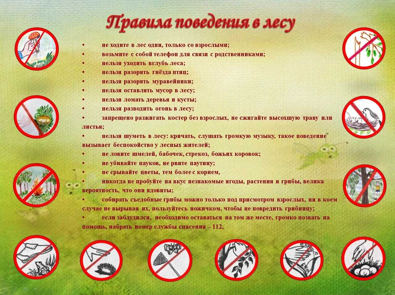 Правила гигиены и техника безопасности в бассейне