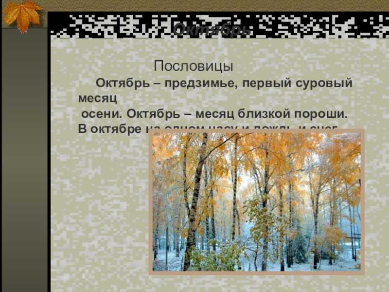 Поздняя осень, ноябрь. предзимье…зоя сергеева, стихи и эссе из цикла «времена года»