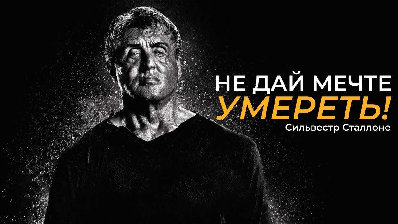 10 самых знаковых цитат сильвестра сталлоне из фильмов