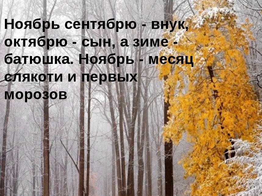 Журнал "культура и общество"						  » поздняя осень, ноябрь. предзимье…зоя сергеева, стихи и эссе из цикла «времена года»