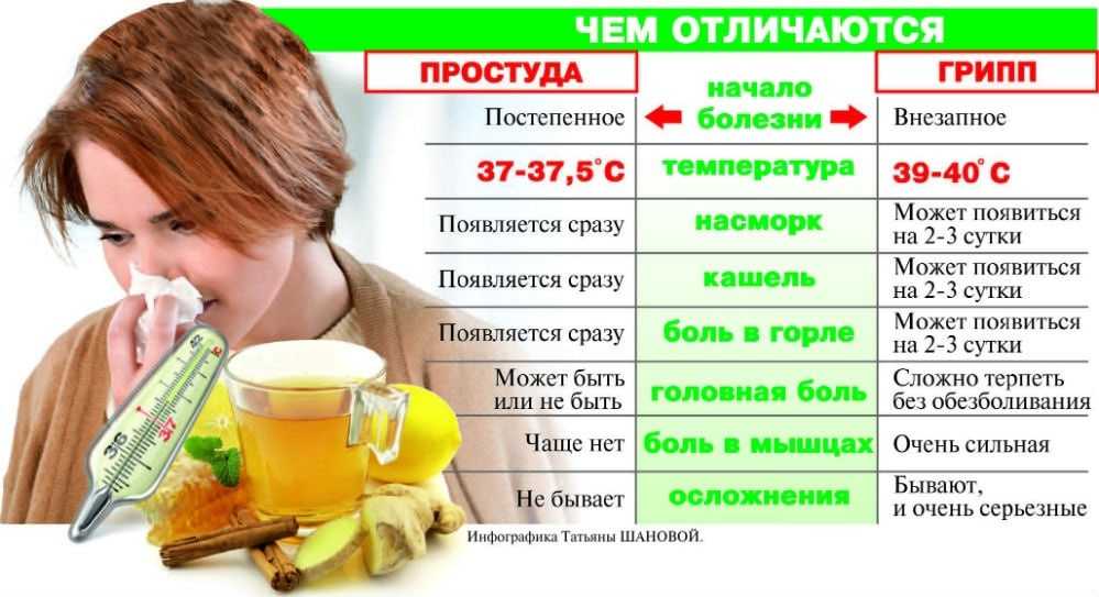 15 идей, чем заняться дома - во время простуды или карантина