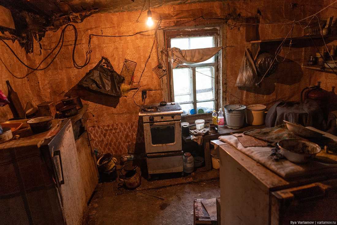 Данила поляков модель сейчас личная жизнь. тёмная триада