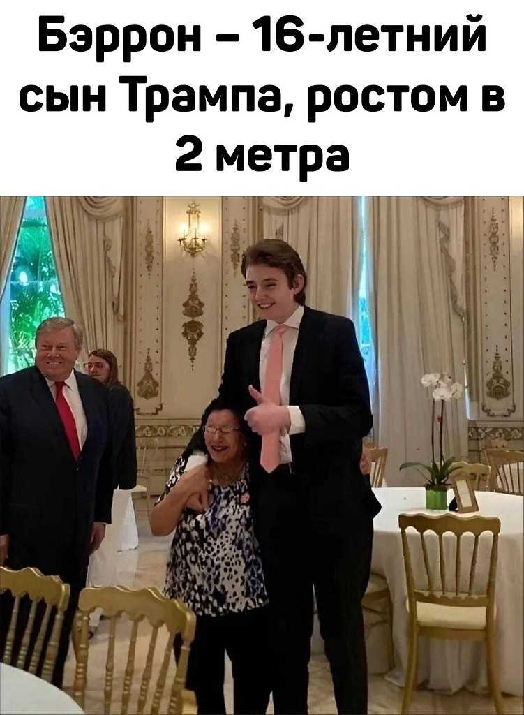 Биография. бэррон трамп - младший сын президента сша (15 фото) он вызвал большой ажиотаж в японии