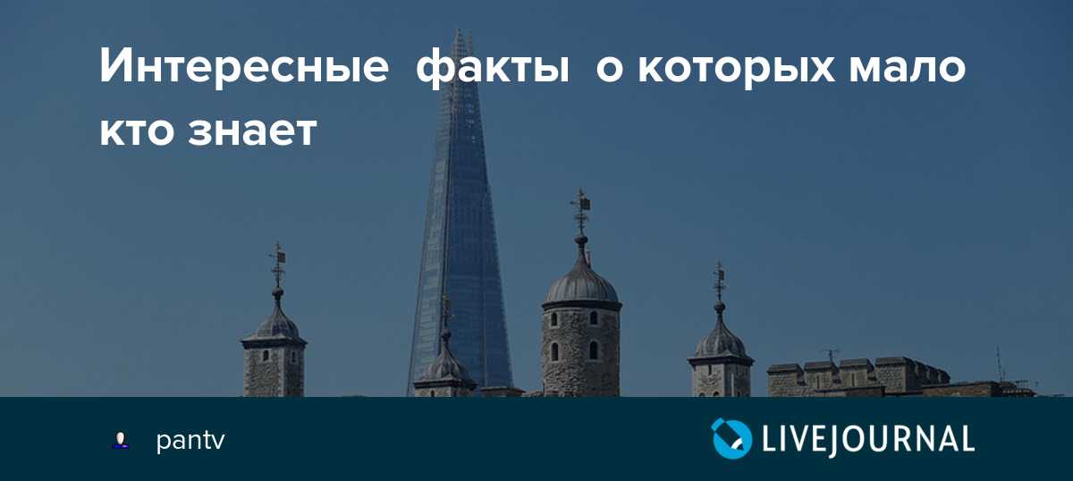 Голая правда (2009) скачать торрент