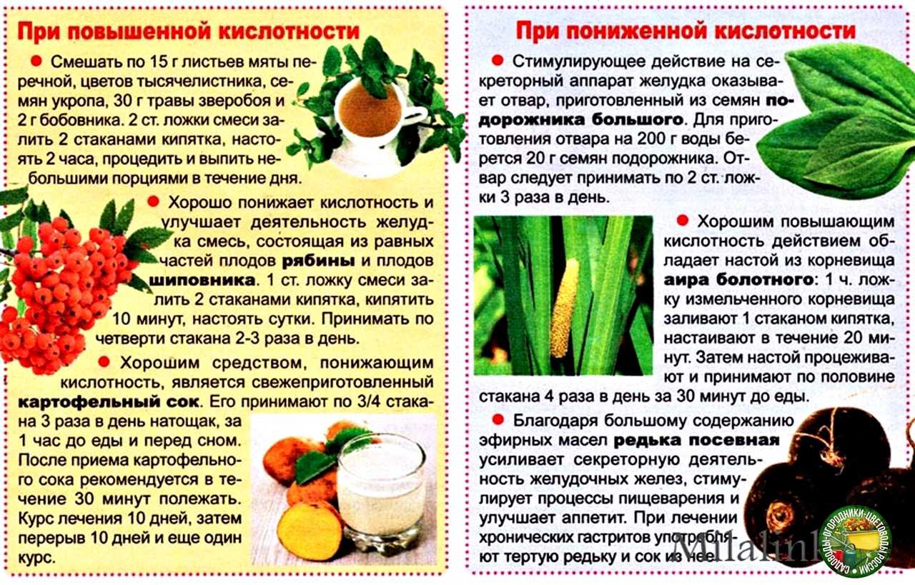 Как народными средствами отбить аппетит. как уменьшить аппетит, чтобы похудеть, народными средствами