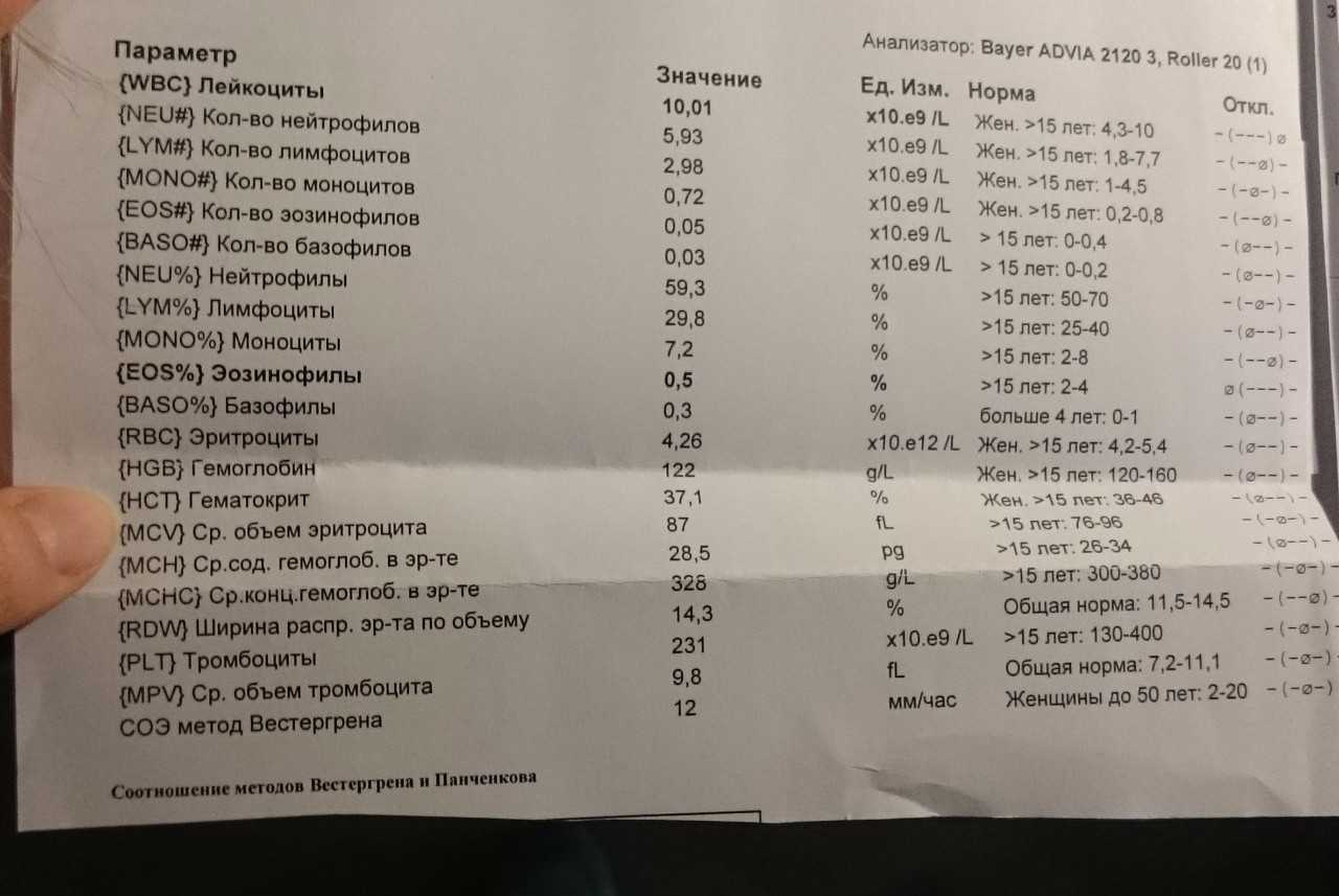 Как повысить лейкоциты в крови после химиотерапии: эффективные препараты и народные средства