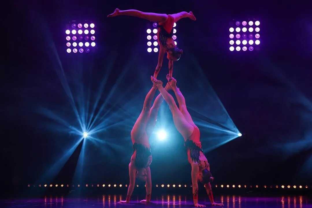 The best cirque du soleil shows