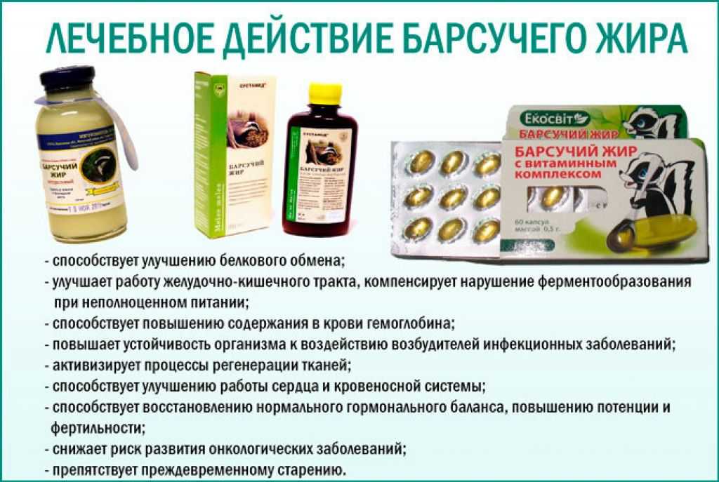 Медвежий жир и барсучий жир: сравнение, лечебные свойства, способы применения - parentchild.ru