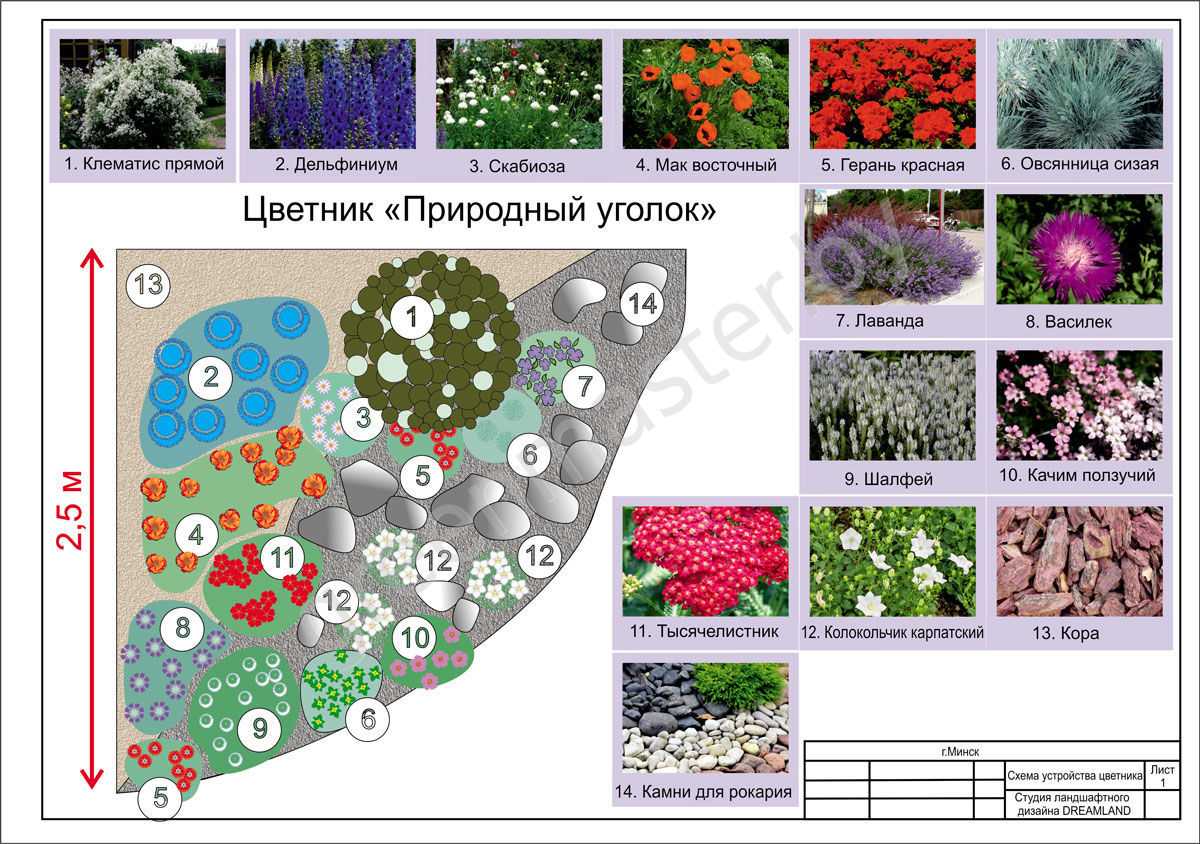 Съедобные цветы